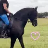 janiceheinkrause - @janiceheinkrause - TikTok