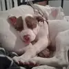 janice krueger - @janicekrueger1962 - TikTok