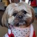 Janice Lacey - Facebook