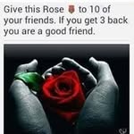 janice lacey - @laceyjanice72 - Instagram