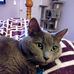 Janice Land - Facebook