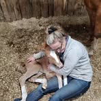 Janice Langford - Facebook