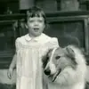 Jan - @janicelackey - TikTok