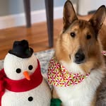 Janice Laskey - @jmlaskey - Instagram