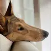janicelaskey750 - @janiceml7 - TikTok