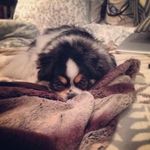 Janice Leslie - @janiceleslie7405 - Instagram