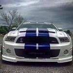 janice marie leslie - @mustanggirl1994 - Instagram