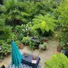 Janice Levine - @janice.levine5 - TikTok
