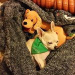 Janice Elaine - @janice.lewis.1972 - Instagram