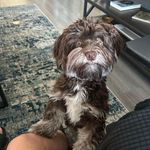 Janice Linton - @janice.linton.9 - Instagram