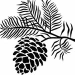 Janice Linton - @acreageprimecones - Instagram