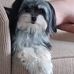 Janice Lomax - Facebook