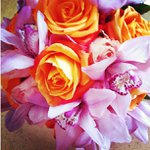 Janice Lowell - @jobceabio - Instagram