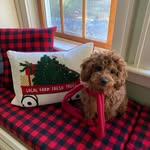 Janiceanddick Lowell - @janice_lowell - Instagram