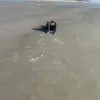 Janice Lowry - @janice.lowry - TikTok