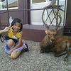 Janice Lu - @janicelu3 - TikTok