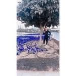 Janice Campaña Lumbao - @janice.lumbao - Instagram