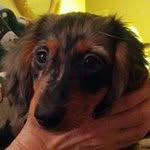 Janice Lyle-Chesnutt - @jalc60 - Instagram