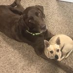 Janice Benham Lytle - @janice_lytle - Instagram