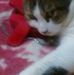 Janice Lytle - Facebook