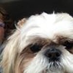 Janice Lytle - @lytle266 - Instagram