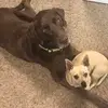janicebenhamlytle - @janicebenhamlytle - TikTok