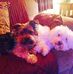 Janice Macleod - Facebook