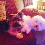 Janice Macleod - @janice_macleod27 - Instagram