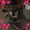 janicemaierbrinso - @janicemaierbrinso - TikTok