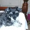 janicemaples55 - @janicemaples55 - TikTok