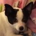 Janice Marek - Facebook