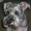 Janice Markham Tice - @janicemarkhamtice - TikTok