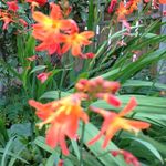 Janice - @janice.marlow - Instagram