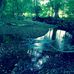 Janice Marlow - Facebook