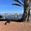 Janice Marlow - @janice.marlow - TikTok