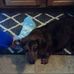 Janice Marlowe - Facebook