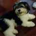 Janice Mast - Facebook