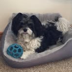 Janice Masterson Kaufman - Facebook