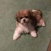 Janice Matherly - Facebook