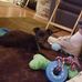 Janice Matlock - Facebook