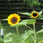 Janice Bially Mattern - @jbiallymattern - Instagram
