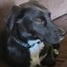 Janice Mazurek - Facebook
