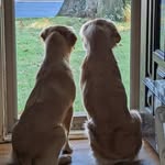 Janice Clugston Mcbride - @janicemcbride0812 - Instagram