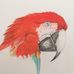 Janice McCafferty - Facebook