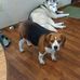 Janice Mcclendon - Facebook