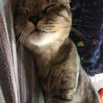 Janice McCurdy - @kiowasfunnyfarm - Instagram