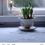 Janice McCurdy - @janice.mccurdy.7 - Instagram
