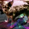 janicemcghee75 - @janicemcghee75 - TikTok