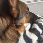 Janice Mckay - @luckyhollylola - Instagram