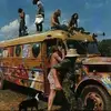 Janice Mclain - @janice.mclain - TikTok